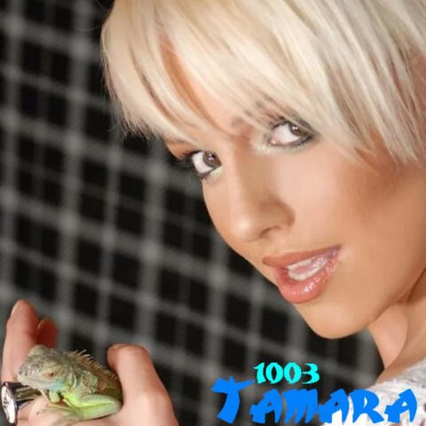 1003