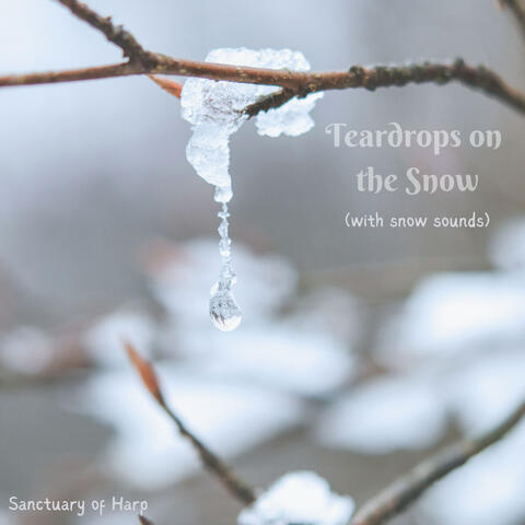 Teardrops on the Snow