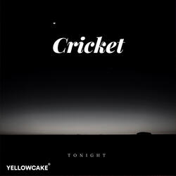 Tonight
