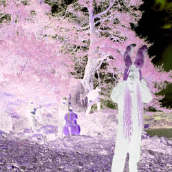 New Moon