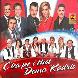 Kam çendisur nje shami