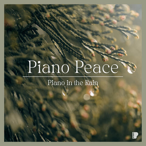 Piano in the Rain