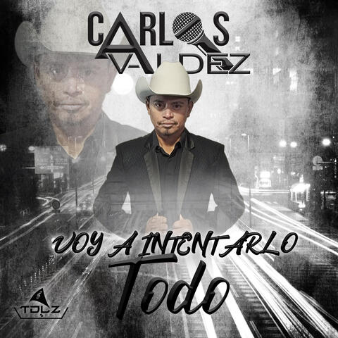 Voy A Intentarlo Todo
