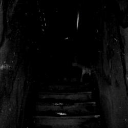 Fallen Centre