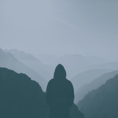 emotional intelligence