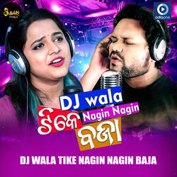 Dj Wala Tike Nagin Nagin Baja