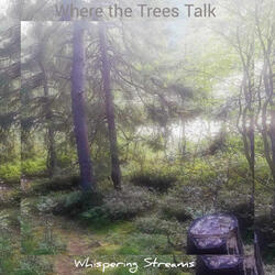 Where the Trees Talk