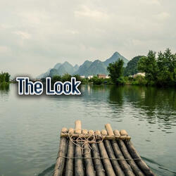 The Look