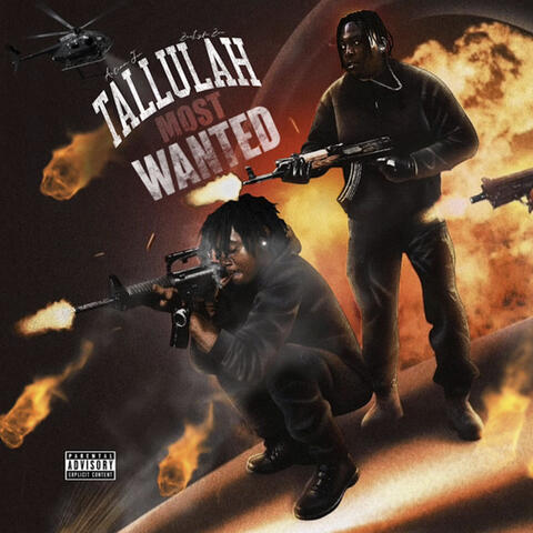 Tallulah Most Wanted