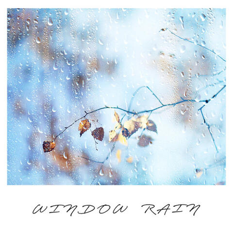 Window Rain