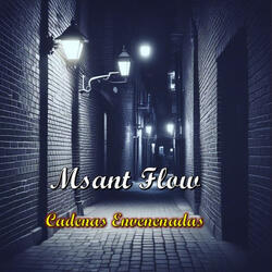 Retame