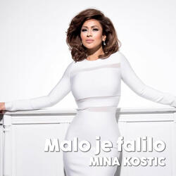 Malo je falilo