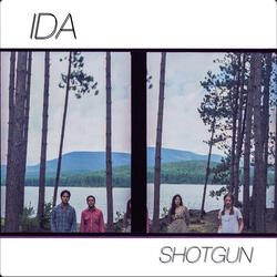 Shotgun