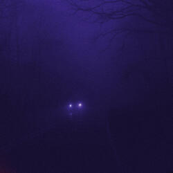 after dark