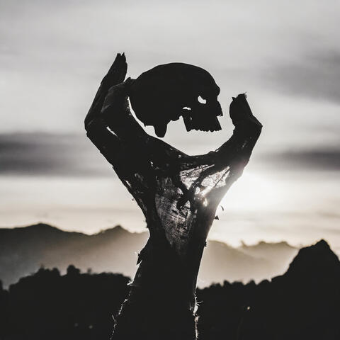 Dolores un der Spirit Fist on a Sunset Mission to Black Earth