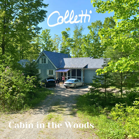 Cabin In The Woods