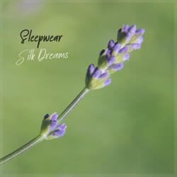 Silk Dreams