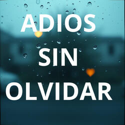 Adios Sin Olvidar