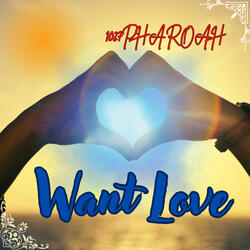 Want Love