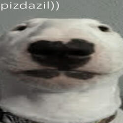PIZDAZIL