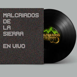 Buena Amiga (En Vivo)