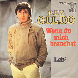 Wenn Du Mich Brauchst