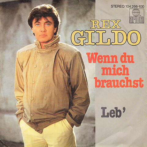 Wenn Du Mich Brauchst