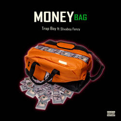 Money Bag