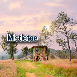 Mistletoe