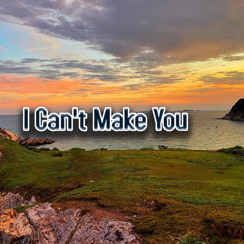 I Can't Make You