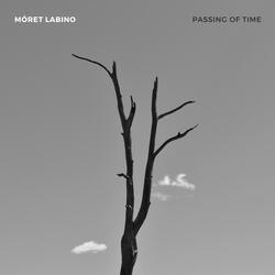 Passing Of Time