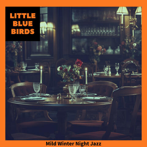 Mild Winter Night Jazz