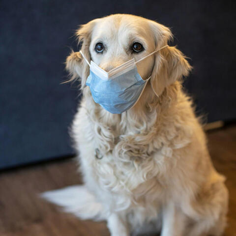 DEFINITELY NOT GETTING MY FIRST CHOICE RESIDENCY PLACEMENT