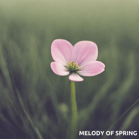 Melody of Spring