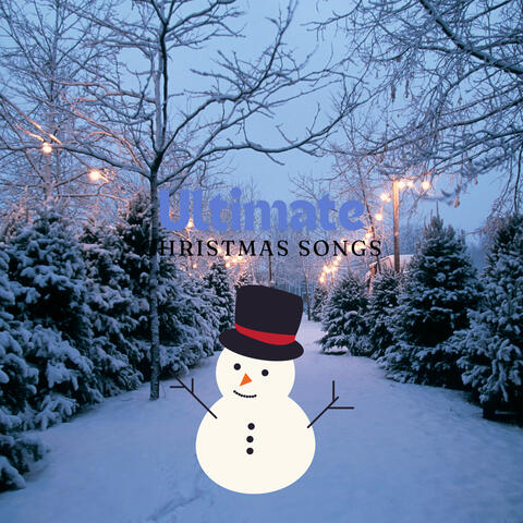 White Polar Holidays