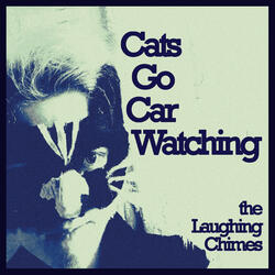 Cats Go Car Watching
