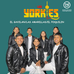 El Gavilán / Las Amarillas / El Poquilin