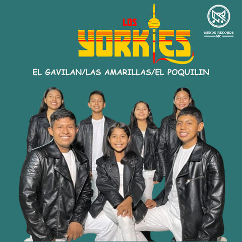 El Gavilán / Las Amarillas / El Poquilin