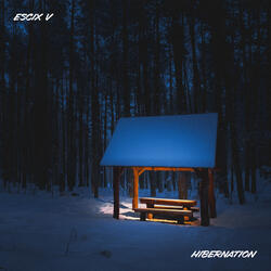 Hibernation