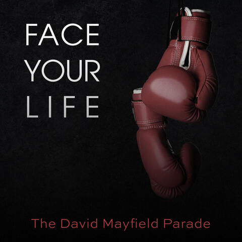 Face Your Life
