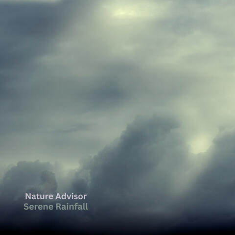 Serene Rainfall