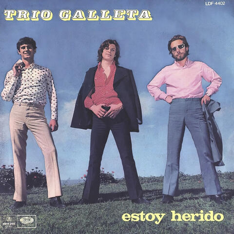 Estoy Herido