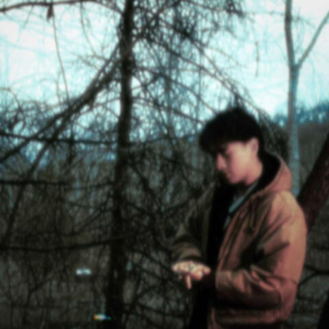 fall into you