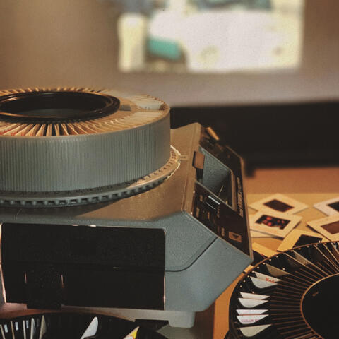 faded polaroids