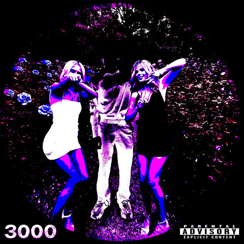 3000