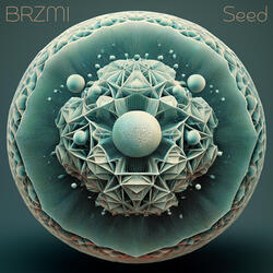 Seed