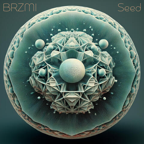 Seed
