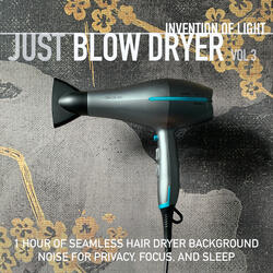 Blow Dryer Noise Cancelling