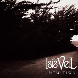 Intuition