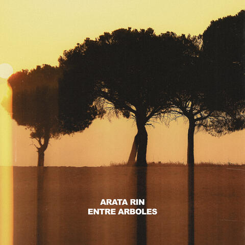 Entre arboles